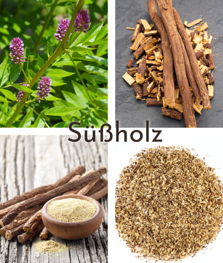 Verschiedene Formen von Süßholz: Pflanze, Wurzel, geschnittene Stücke und Pulver.
